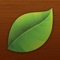 Plantifier is a free crowdsourced plant recognition tool