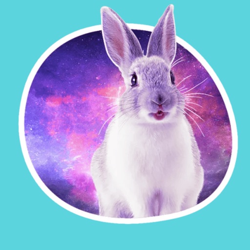 Space Bunnies Stickers