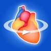 冠動脈3Dアトラス - iPadアプリ