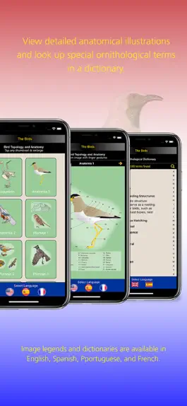 Game screenshot The Birds of Paraguay hack