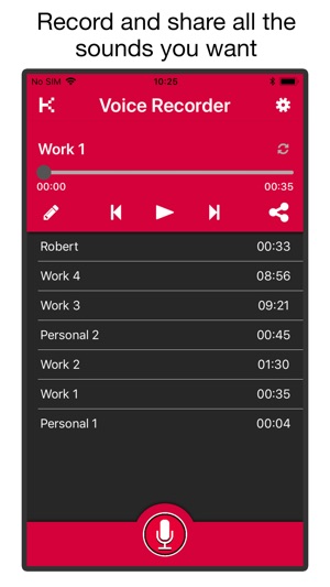 Voice & Audio Recorder PRO