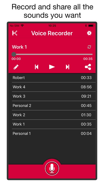 Voice & Audio Recorder PRO