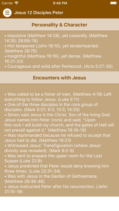 Jesus 12 Disciples Peter screenshot 3