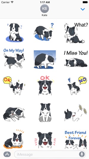 Cute Border Collie Dog Sticker(圖2)-速報App