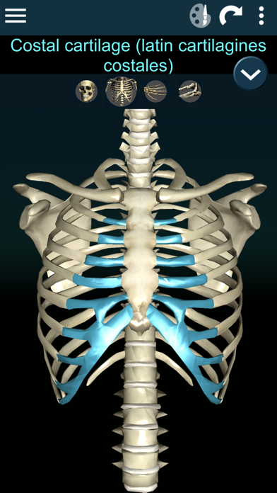 How to cancel & delete Bones 3D (Anatomy) from iphone & ipad 2