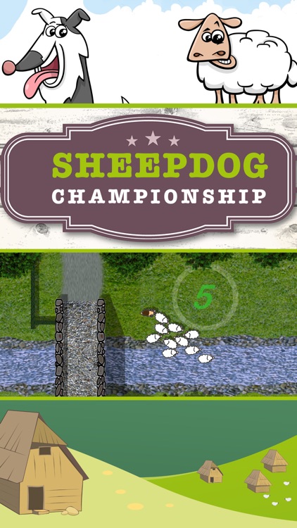 Sheep dog Championship FULL