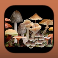 FunKey: Key to Agarics of Australia PC 용
