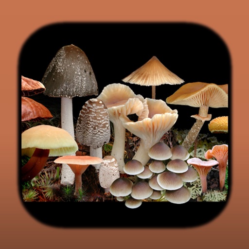 FunKey: Key to Agarics of Australia Icon