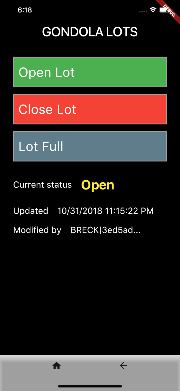 Breckenridge Parking