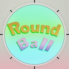 Activities of RoundBall - 2017