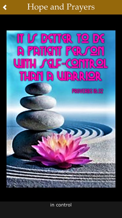 Hope & Prayers Affirmations screenshot-4