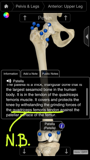 Skeleton System Pro III-iPhone(圖2)-速報App