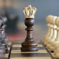 Chess Master - Ultimate guide pour PC