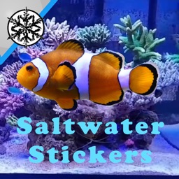 Saltwater Fish Stickers