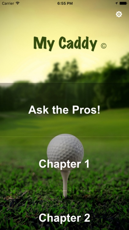My Caddy © screenshot-3