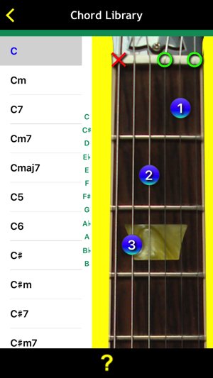 Guitar Basics For Dummies(圖5)-速報App