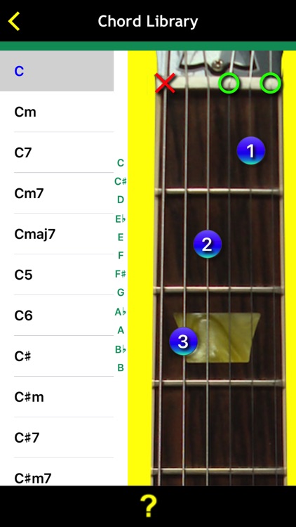 Guitar Basics For Dummies screenshot-4