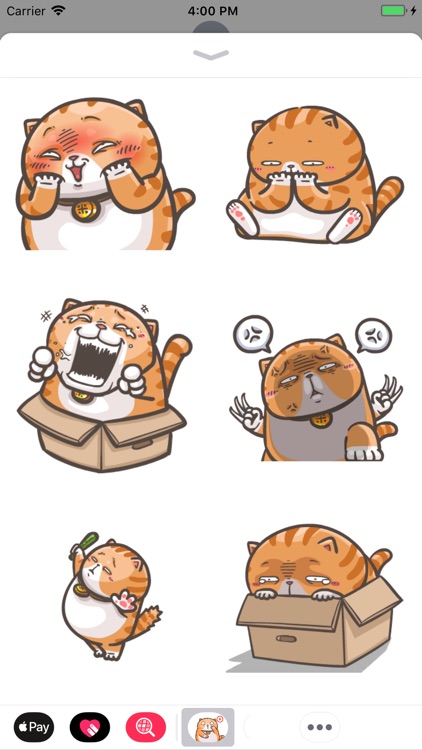 Chubby Cat Stickers Animated