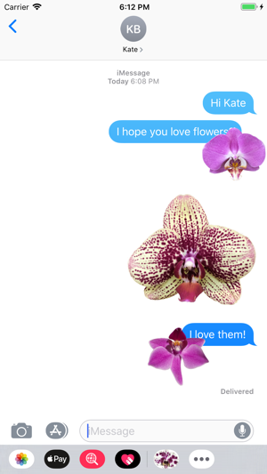 Real Orchids