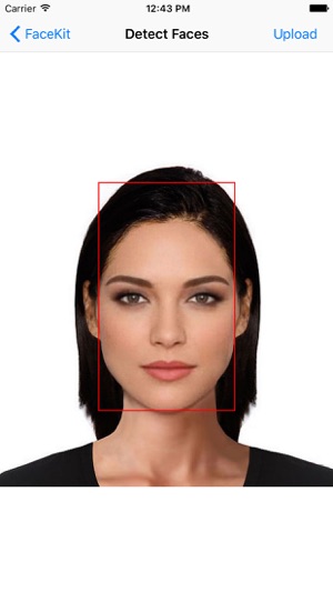 FaceKit - face detection(圖2)-速報App