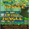 Run, Jump, Smash and Survive in The World Of Bonemans Jungle