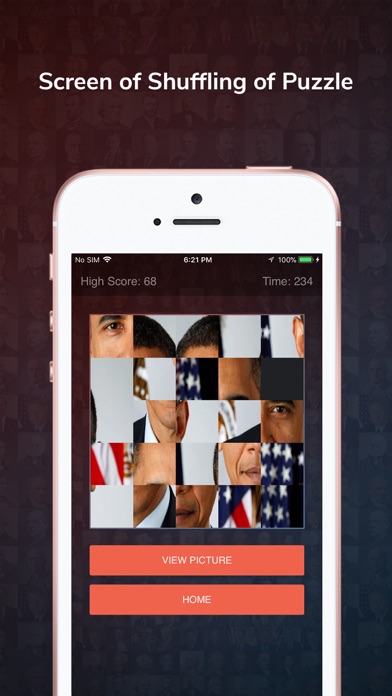 Puzzled Presidents screenshot 3