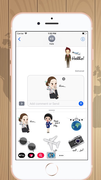 Flight Attendant Crew Stickers
