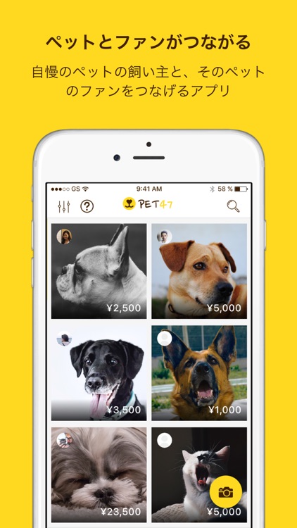 Pet47 自慢のペットとファンがつながるアプリ By Anytimes Inc