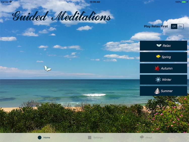 Guided Meditations