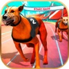 Dog Race Simulator.