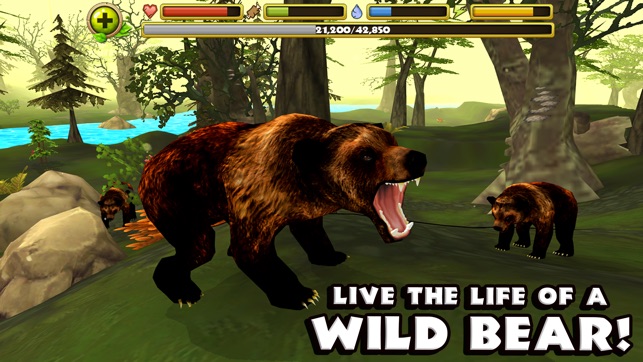 Wildlife Simulator: Bear(圖1)-速報App