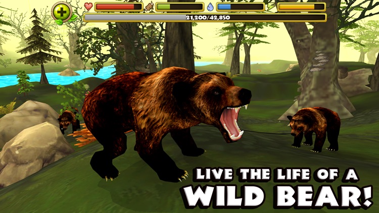 Wildlife Simulator: Bear screenshot-0