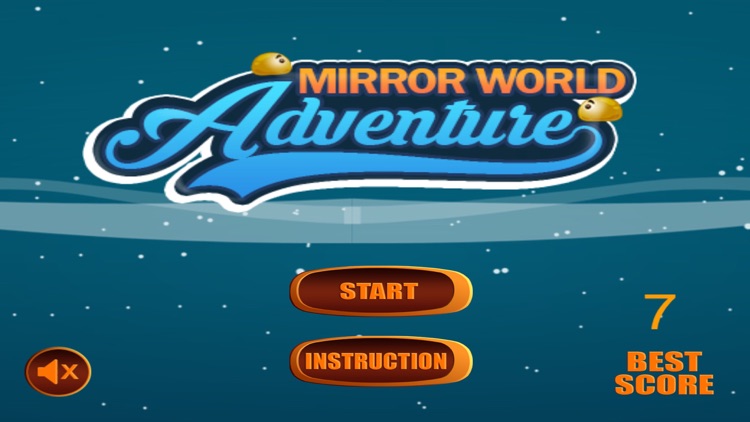 Mirror World Adventure