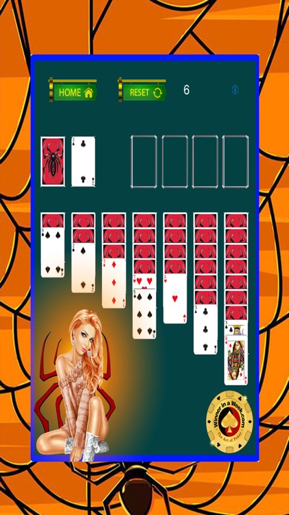 Spider Classic Solitaire : screenshot-3