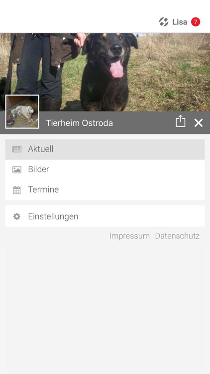 Tierheim Ostroda