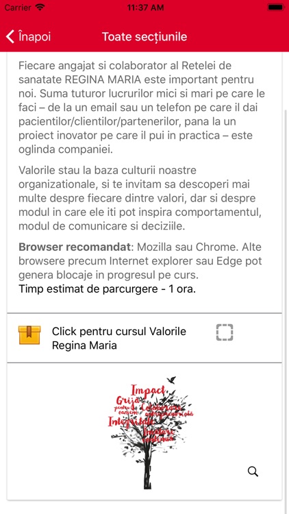 Invatare Continua Regina Maria screenshot-3