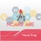 NCARB "ARE" Visual Prep 