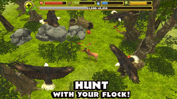  Eagle  Simulator  by Gluten Free Games 