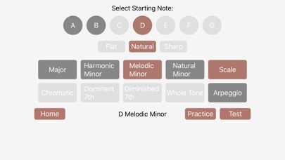 ScaleWise screenshot 3