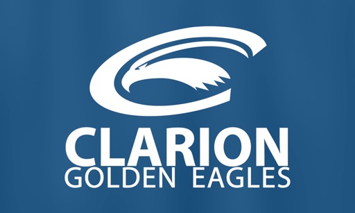 Clarion Golden Eagle Vision