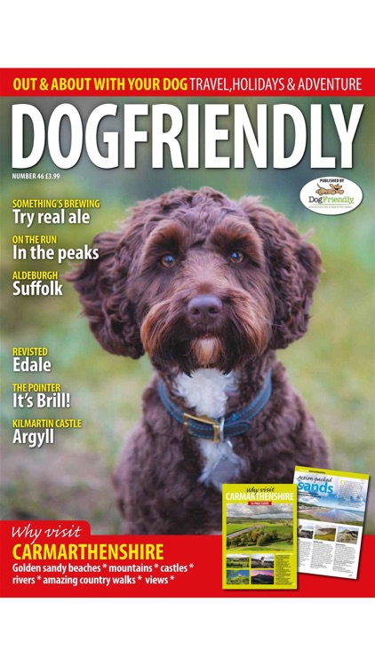 Dog Friendly Magazine screenshot-4