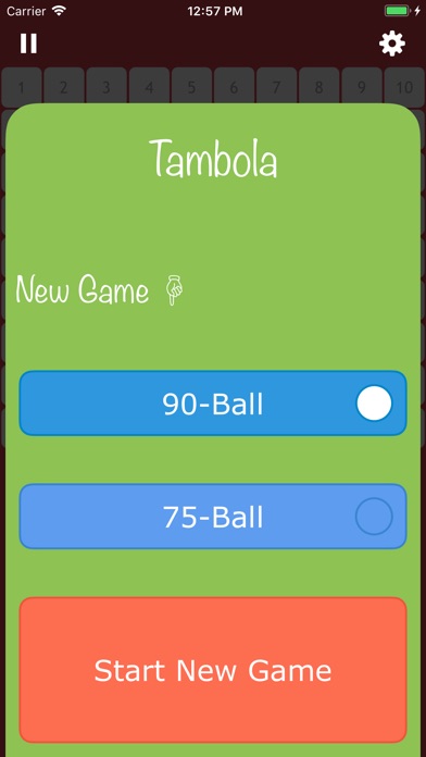 Bingo-Tambola screenshot 4
