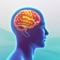 Each lesson tests your wits with 10 questions from 10 different categories