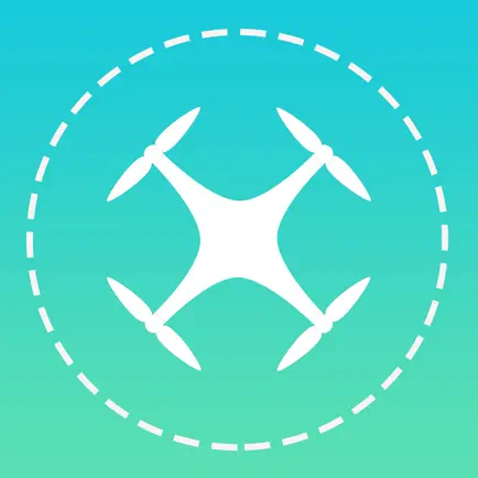 Drone Director for DJI Drones Читы