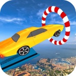 Race Car Stuntman