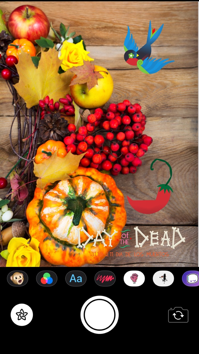 Day of the Dead Stickers Pro