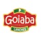 Compre sem sair de casa com este espetacular delivery - Goiaba Lanches