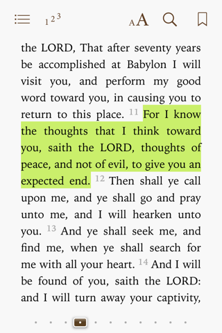Bible - The Holy Bible - náhled