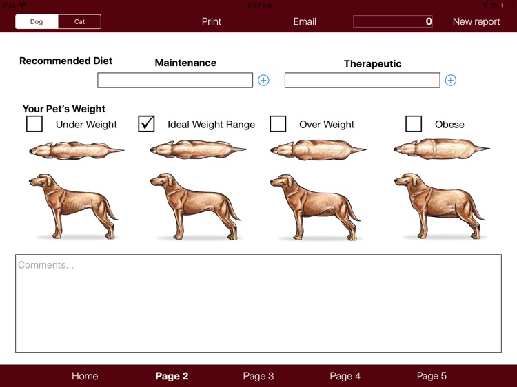 Veterinary Pet Health Report