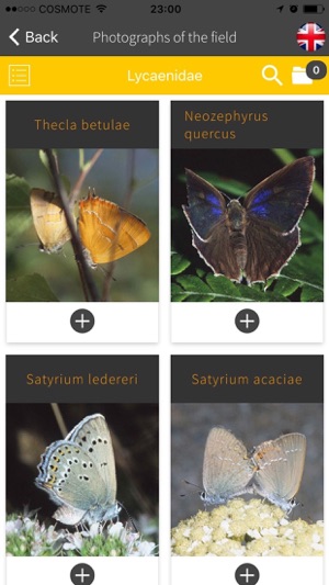 Butterflies of Greece(圖1)-速報App